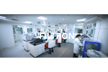 Testing & Lab Services